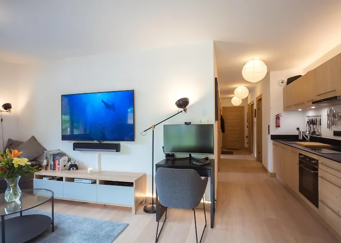Bel 3 Etoiles Aux Praz De Chamonix, Pres Du Telepherique De La Flegere - Fr-1-343-213 Appartement Chamonix